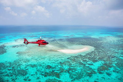Private Helicopter Tour: Reef Island Snorkeling And Gourmet Picnic Lunch - Find Attractions 5