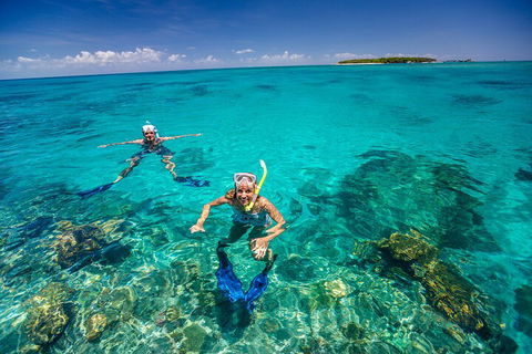 Fly To Green Island - Cruise Return - Find Attractions 4