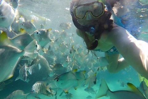 2-Day Moreton Island 4WD Camping Tour From Brisbane - Find Attractions 0