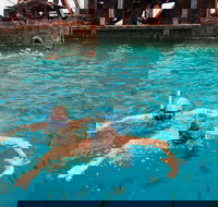 Moreton Island Snorkel and Sandboarding 4WD Day Trip from Brisbane - Find Attractions