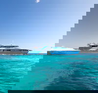 Fremantle to Rottnest Island Roundtrip Ferry Ticket - Find Attractions