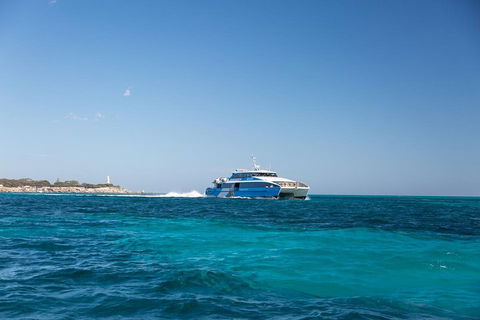 Fremantle To Rottnest Island Roundtrip Ferry Ticket - Find Attractions 5