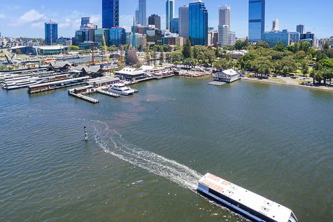Summer Lunch Cruise - Find Attractions 2