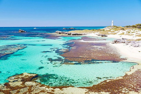 Perth To Rottnest Island Roundtrip Ferry Ticket - Find Attractions 2