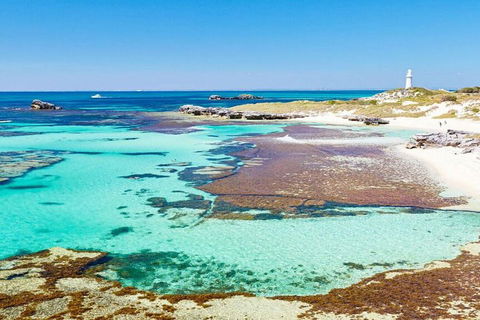 Rottnest Island Bike, Snorkel & Ferry Package From Perth - Find Attractions 5