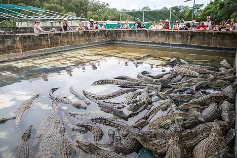 Hartley's Crocodile Adventures Day Trip From Cairns - Find Attractions 0
