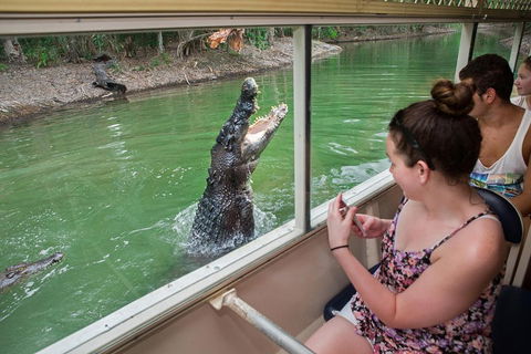 Hartley's Crocodile Adventures Day Trip From Cairns - Find Attractions 3