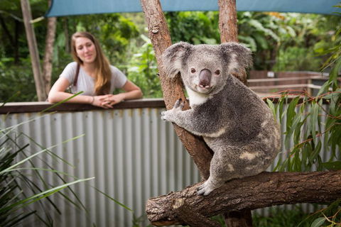 Hartley's Crocodile Adventures Day Trip From Palm Cove - Find Attractions 5