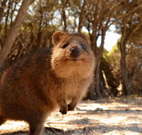 Pinnacles  Rottnest Island Scenic Air  Ground Tour - Find Attractions