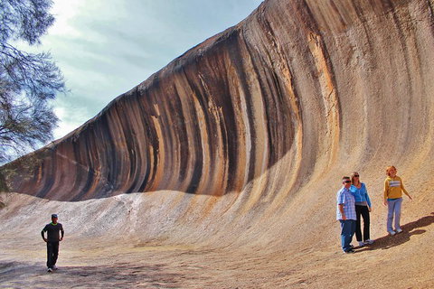 Wave Rock & Rottnest Island - Air & Ground Tour - Find Attractions 2