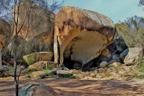 Wave Rock & Rottnest Island - Air & Ground Tour - Find Attractions 4