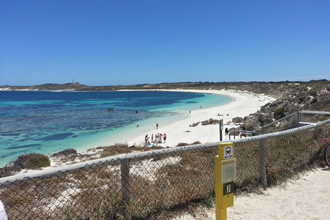 Wave Rock, Pinnacles And Rottnest One Day Aeroplane Tour - Find Attractions 2