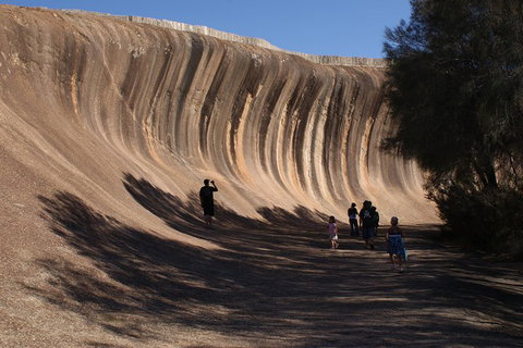 Wave Rock, Pinnacles And Rottnest One Day Aeroplane Tour - Find Attractions 4
