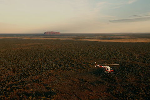 Helicopter Scenic: Lizard Safari - Find Attractions 4
