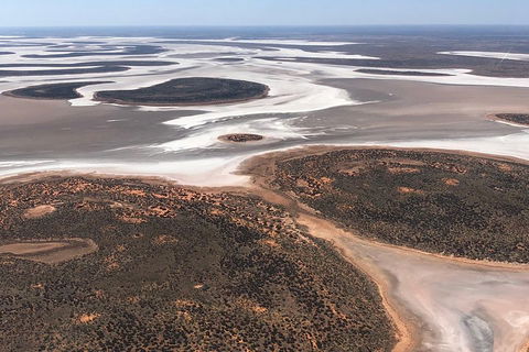 Helicopter Scenic: Lizard Safari - Find Attractions 5