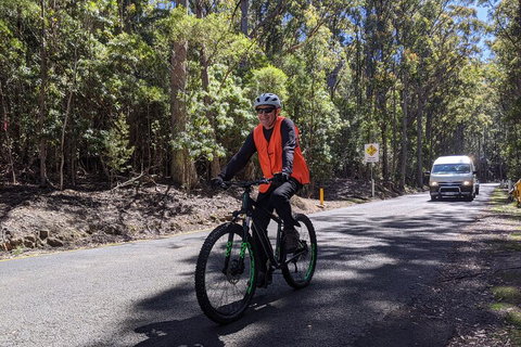 Mount Wellington Descent Cycling Tour Departs Hobart - Find Attractions 3