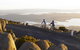 Mount Wellington Descent Cycling Tour Departs Hobart - thumb 5