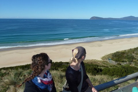 Small-Group Day Trip From Hobart To Bruny Island - Find Attractions 3