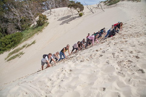 6-Day Tasmanian Explorer Adventure Tour From Hobart - Find Attractions 2