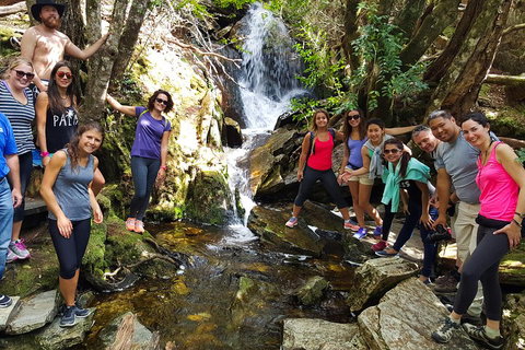 7-Day Super Value Tour Of Tasmania: Explore Tasmania's West And East Coasts - Find Attractions 2