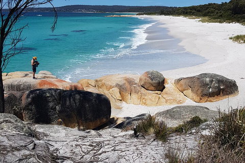 2-Day Tas East Coast Escape Tour Including Bay Of Fires, Wineglass Bay & Devils - Find Attractions 4