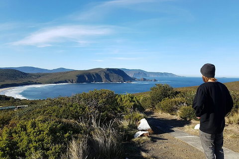 4-Day Fabulous Tasmania Tour: Wineglass Bay, Port Arthur, Devils & Bruny Island - Find Attractions 0