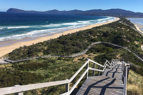 4-Day Fabulous Tasmania Tour: Wineglass Bay, Port Arthur, Devils & Bruny Island - Find Attractions 5