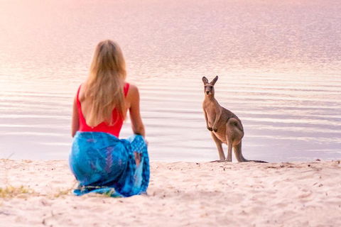 Serenity Cruise To Australia's Everglades - Find Attractions 3