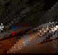 Alice Springs Desert Park Nocturnal Tour - Find Attractions