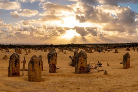 Half Day Pinnacles Sunset Tour - Find Attractions 0