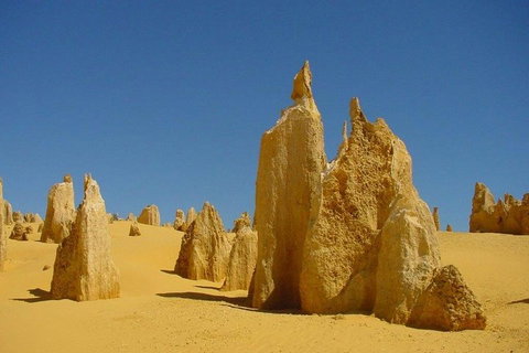 Half Day Pinnacles Sunset Tour - Find Attractions 2