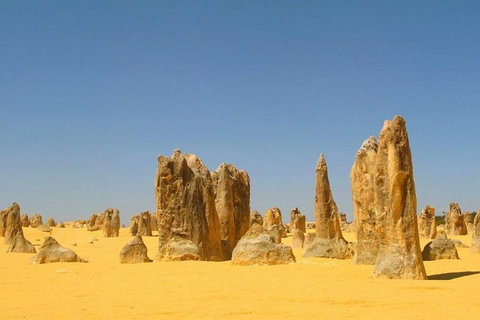 Half Day Pinnacles Sunset Tour - Find Attractions 5