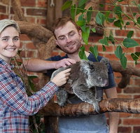 Private Tour Blue Mountains Day Trip from Sydney - Find Attractions