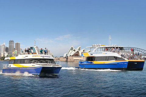 Go City | Sydney Explorer Pass With 20+ Attractions And Tours - Find Attractions 5