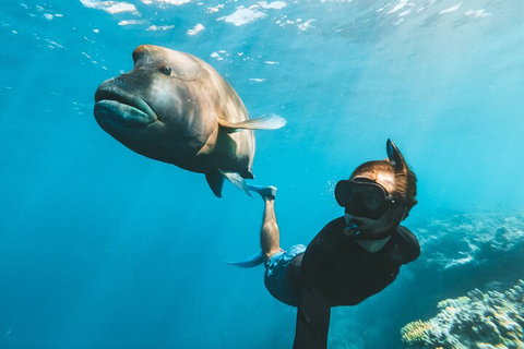 Great Barrier Reef Day Cruise To Reefworld - Find Attractions 3