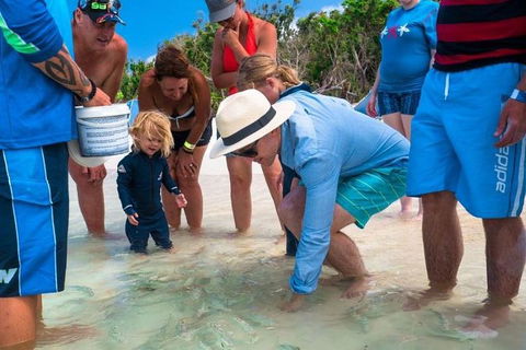 Whitehaven Beach And Hamilton Island Cruise - Find Attractions 1