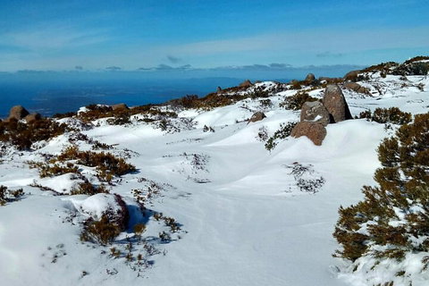 Mount Wellington Ultimate Experience Tour From Hobart - Find Attractions 1