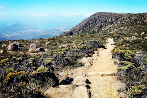 Mount Wellington Ultimate Experience Tour From Hobart - Find Attractions 5