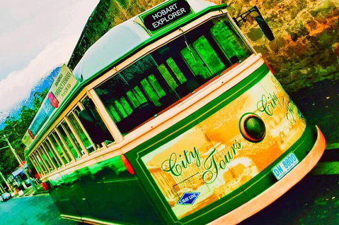Hobart Half-Day Sightseeing Coach Tram Tour - Find Attractions 5