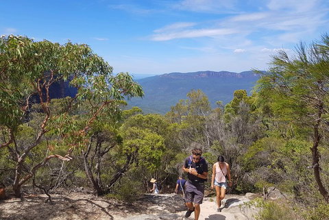 Blue Mountains Unique Small-Group Day Adventure With BBQ Lunch - Find Attractions 3