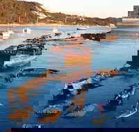 Adventure Moreton Island Wrecks Adventure Package - Find Attractions