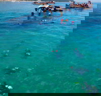 Adventure Moreton Island Scuba Dive Tour - Find Attractions