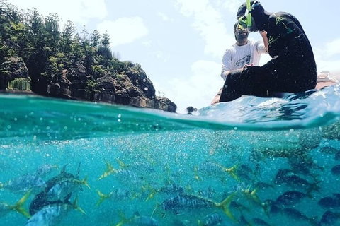 2 Night Small Group Whitsundays Sailing Adventure Aboard Mandrake - Find Attractions 5