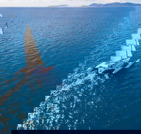 2-Night Whitsunday Islands Sailing Adventure on Trimaran Avatar - Find Attractions
