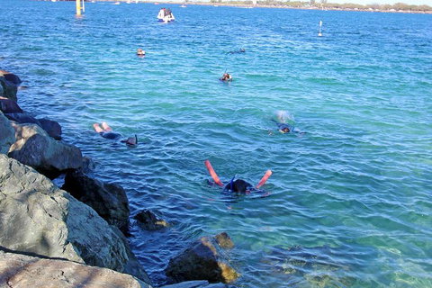 Wave Break Island Scuba Diving On The Gold Coast - Find Attractions 1