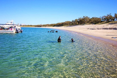 Wave Break Island Scuba Diving On The Gold Coast - Find Attractions 4