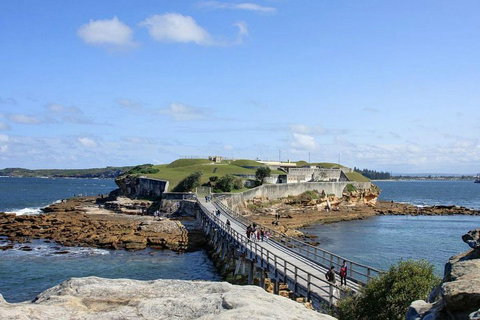 Sydney Six Beaches Trike Tour - Find Attractions 0