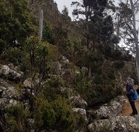kunanyi / Mt. Wellington Guided Hiking Tour - Find Attractions