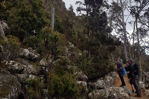 Kunanyi / Mt. Wellington Guided Hiking Tour - Find Attractions 0