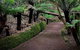 Kunanyi / Mt. Wellington Guided Hiking Tour - thumb 1